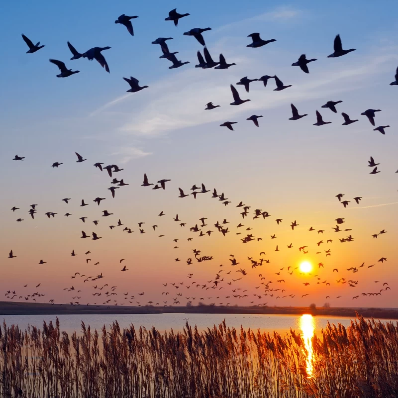 Deine Yoga-Auszeit an der Nordsee - Zeit für dich inmitten der Natur