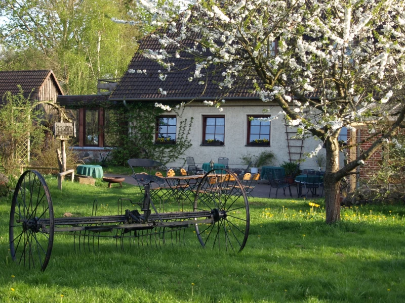 Yoga, Wandern und Rohkost-Detox im Müritz-Nationalpark