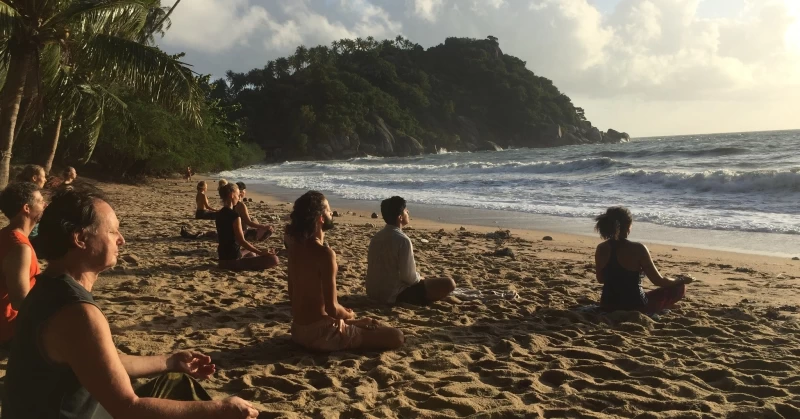 Reshape Your Life: Abnehmen und wohlfühlen mit Yoga und Fitness