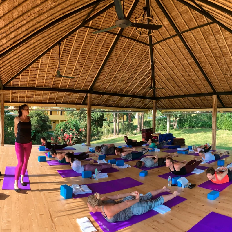Detox retreat with yoga, fitness & wellness: feel free and light