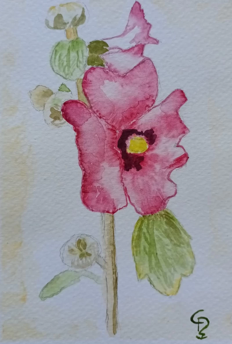 Yoga und Aquarellmalen auf der schönen Insel Rügen