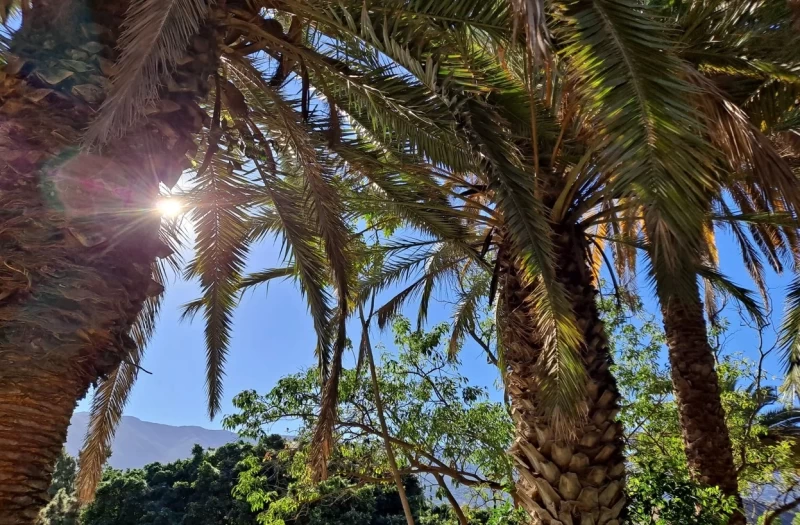 Pilates-, Yoga- und Wellness-Retreat mit Hotelkomfort