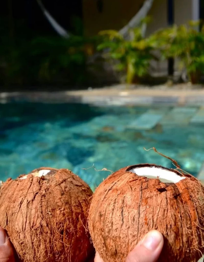 Ozean trifft Dschungel: Yoga- und Abenteuer-Retreat in Costa Rica