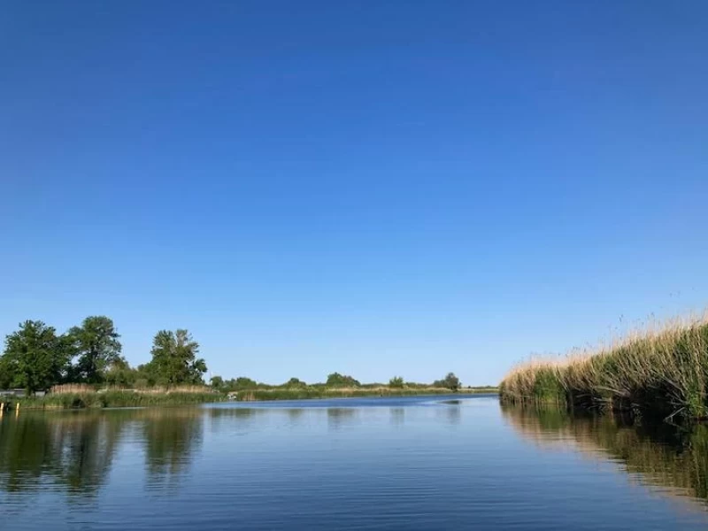 Stille Retreat in der Natur: Meditation, Hridaya Yoga & Transformation