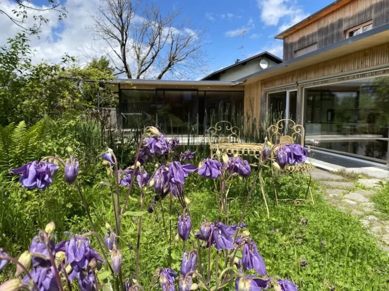 Liebevolle Ehrlichkeit: Weite deinen inneren Raum. I AM - das Retreat