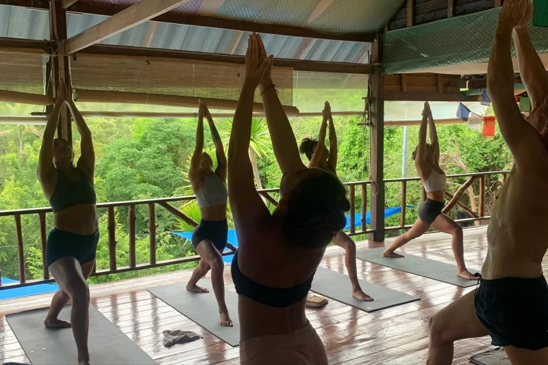 Yoga- & Detox-Retreat im Dschungel: Etabliere einen neuen Lebensstil