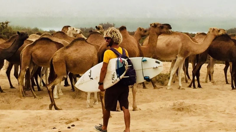 Erlebe die authentische Surfkultur in Tamraght