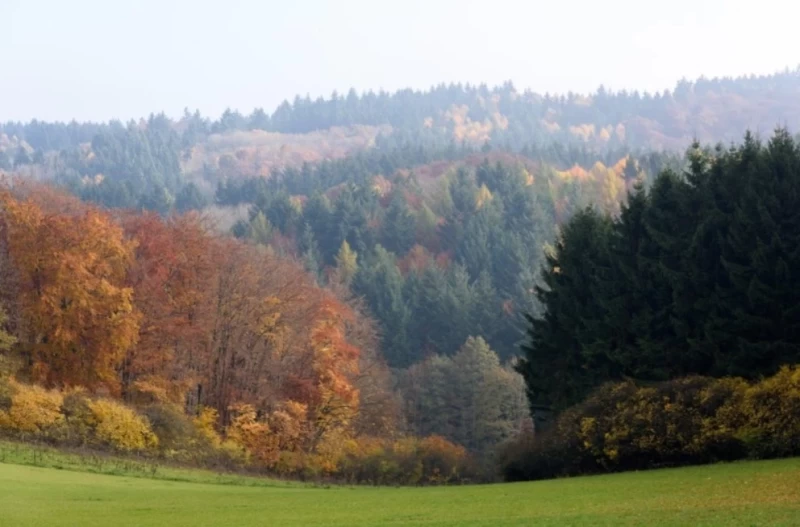 Deine Yoga-Auszeit zwischen Wäldern und Weite der Nordeifel