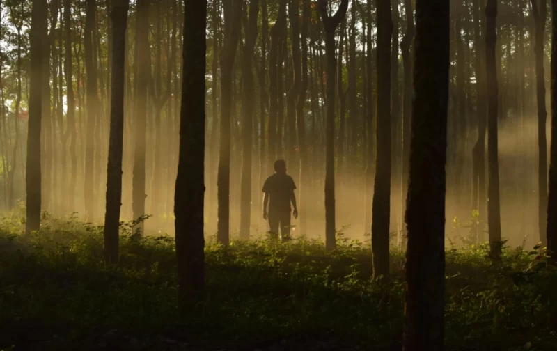 Die Kunst des Innehaltens – Deine Auszeit mit Sinn