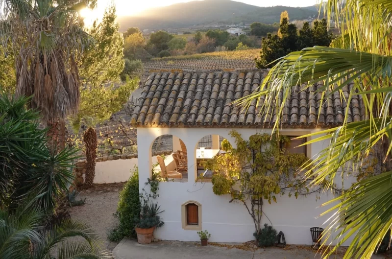 Yoga- und Heilungsretreat inmitten malerischer Weinberge