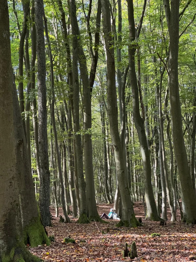 Yoga, Wandern und Rohkost-Detox im Müritz-Nationalpark