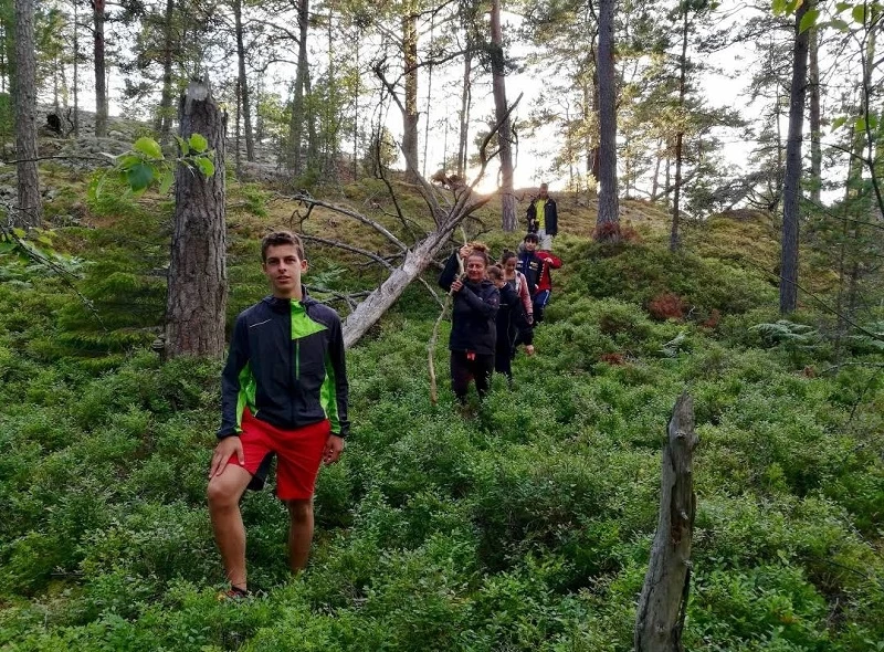 Expedition durch die Wildnis: Erkunde Schwedens Natur