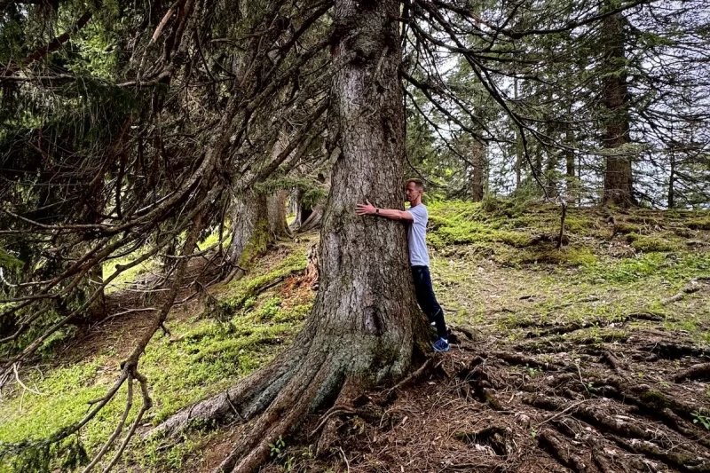 Wochenendretreat mit Yoga, Wandern & Waldbaden auf der Oberen Firstalm