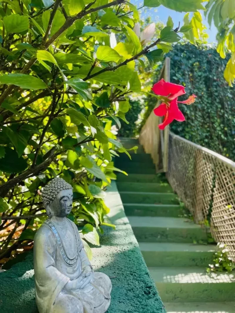Authentisches Ayurveda & Yoga auf Teneriffa: Persönlich & individuell