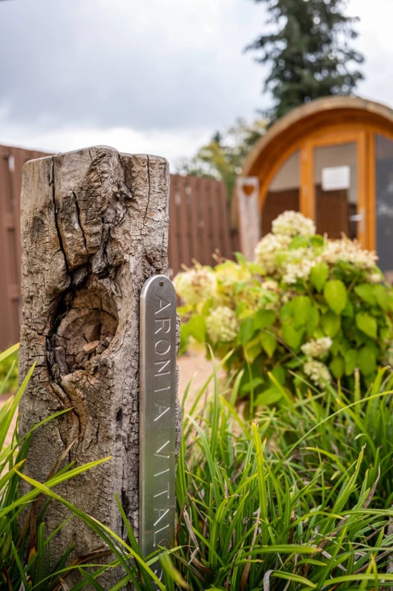 Yoga Retreat im Thüringer Wald
