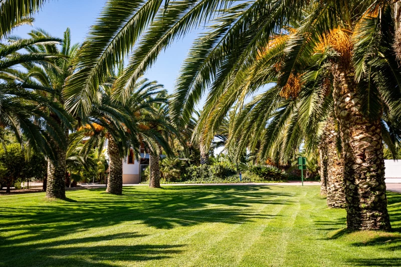 Golf und Meer an der Orangenblütenküste Spaniens