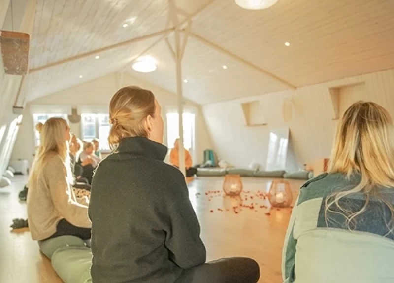 Yoga und Natur auf Väddö: Deine Auszeit im schwedischen Sommerlicht