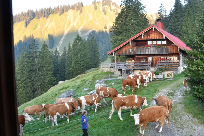 Yin Yoga und Wandern auf der Oberen Firstalm