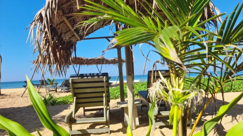 Erfrische deine Seele! Ein verjüngendes Yoga-Retreat-Erlebnis in Sri Lanka