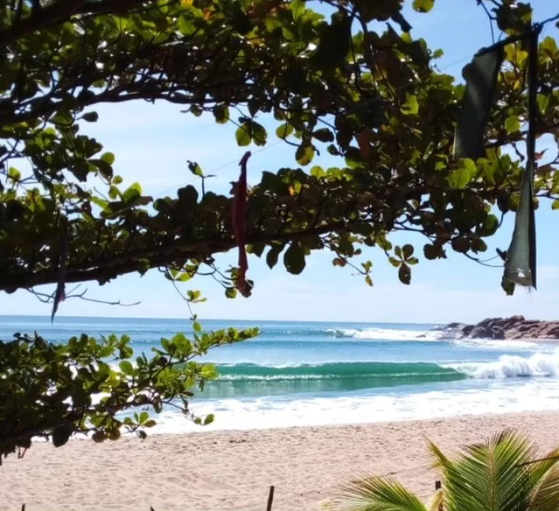 Surfcamp am Strand von Arugam Bay: Perfekte Location & gute Vibes