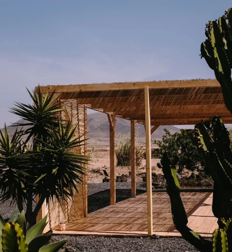 Yoga, Sonnenstrahlen & Glücksmomente auf Fuerteventura