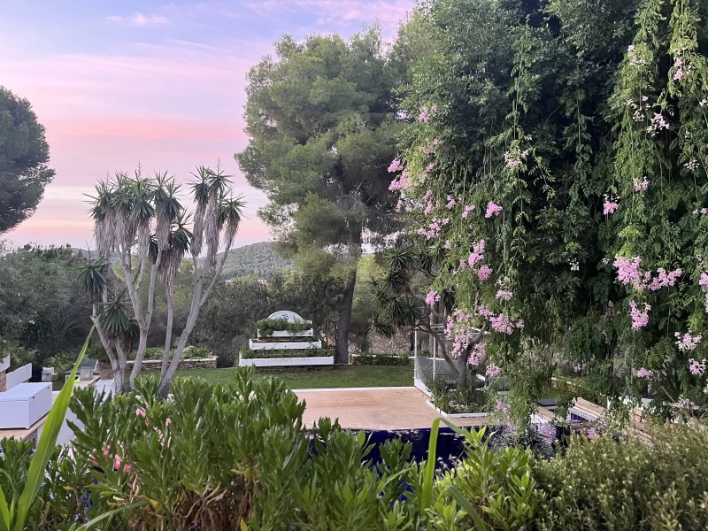 Yoga & Wellness auf Ibiza – Finde zurück zu dir selbst