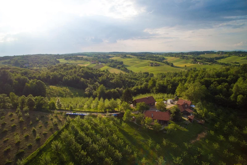 Yoga Retreat in einer Eco-Lodge: Finde Frieden in unberührter Natur