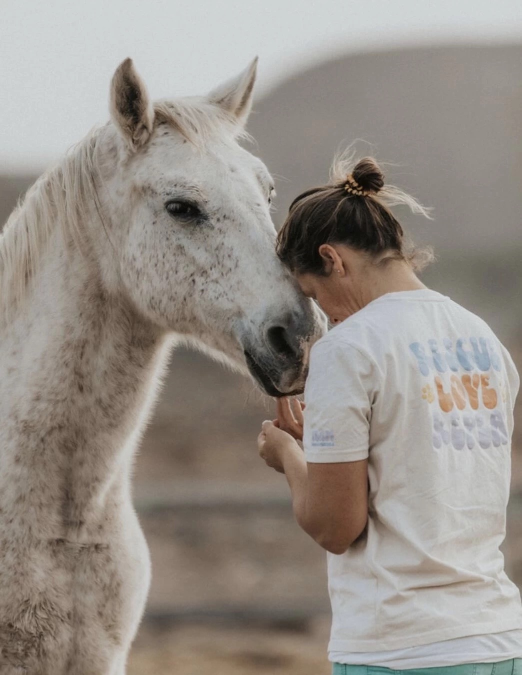Yoga & Erden mit Pferden