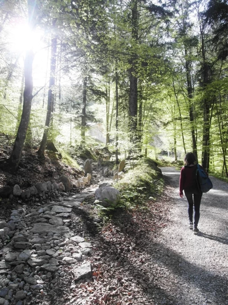 Regenerationstage mit Yoga, Wandern und heilsamer Ernährung