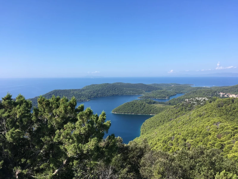 Ganzheitliches Yoga & Ayurveda Retreat auf der grünen Insel Mljet
