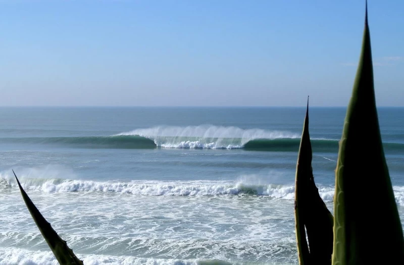 Portugal Surfcamp: Entspannte Leute und gute Vibes