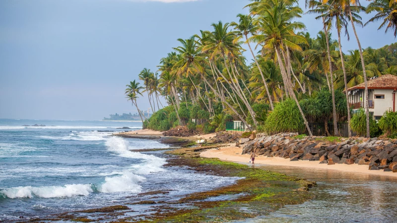 Surfcamp im Süden Sri Lankas: Zwischen Tradition und Luxus