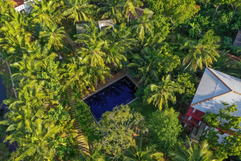 Innere Ruhe und Balance: Qi Gong & Yin Yoga Retreat in Tangalle