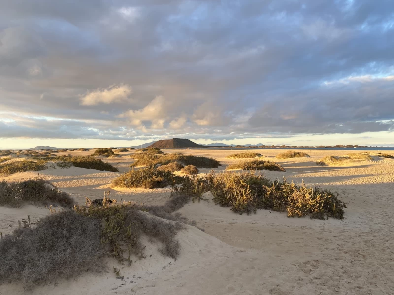 Surfen, Sonne, Spaß: Wingfoiling auf Fuerteventura