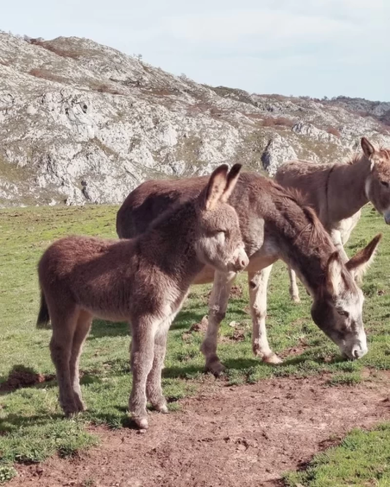 Auf neuen Pfaden zu dir selbst: Wandern, Yoga und Gemeinschaft
