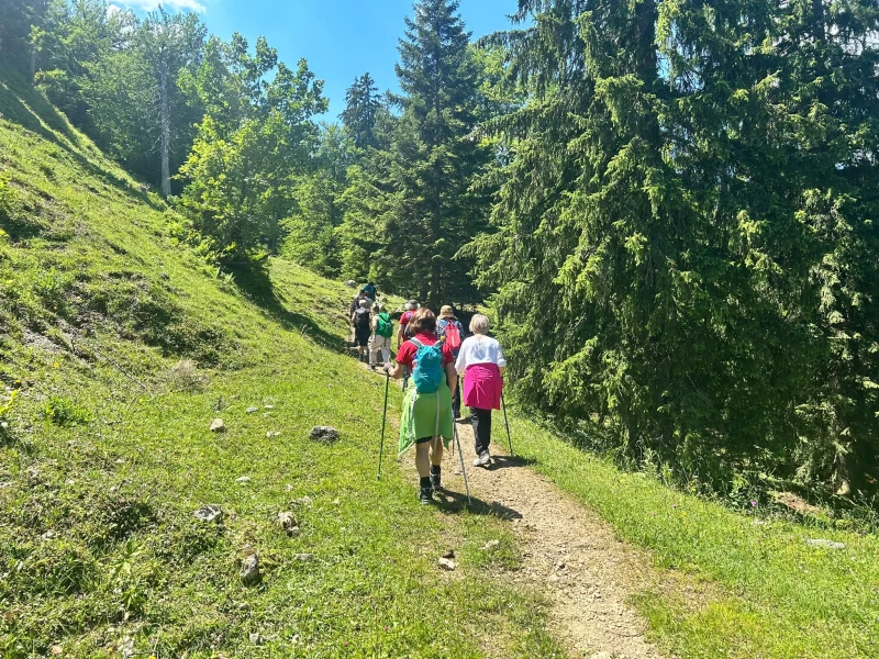 Yoga- und Wanderwochenende in den Bayerischen Alpen