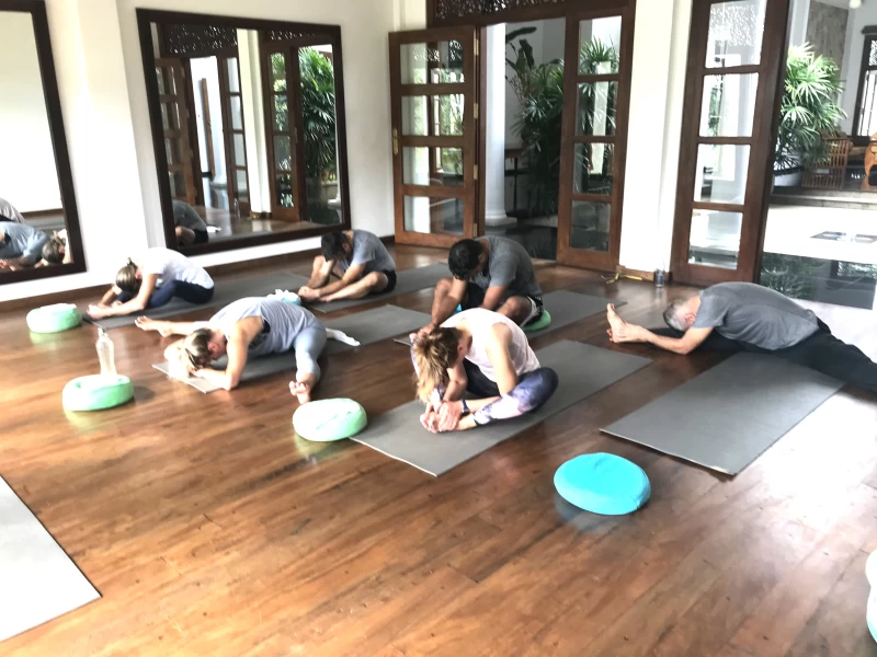 Dein Hatha Yoga Bliss Retreat inmitten einer Teeplantage