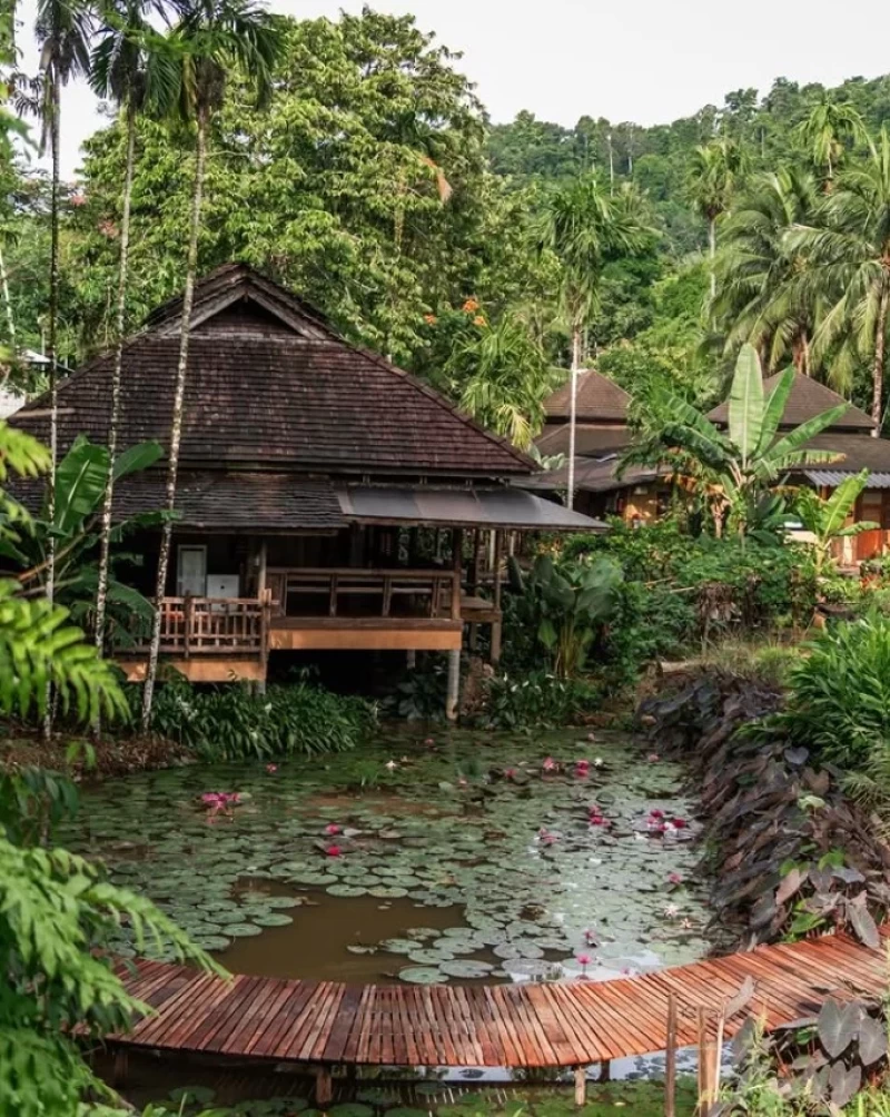 Insel-Detox auf Koh Chang: Saftfasten, Yoga & sanfter Neustart