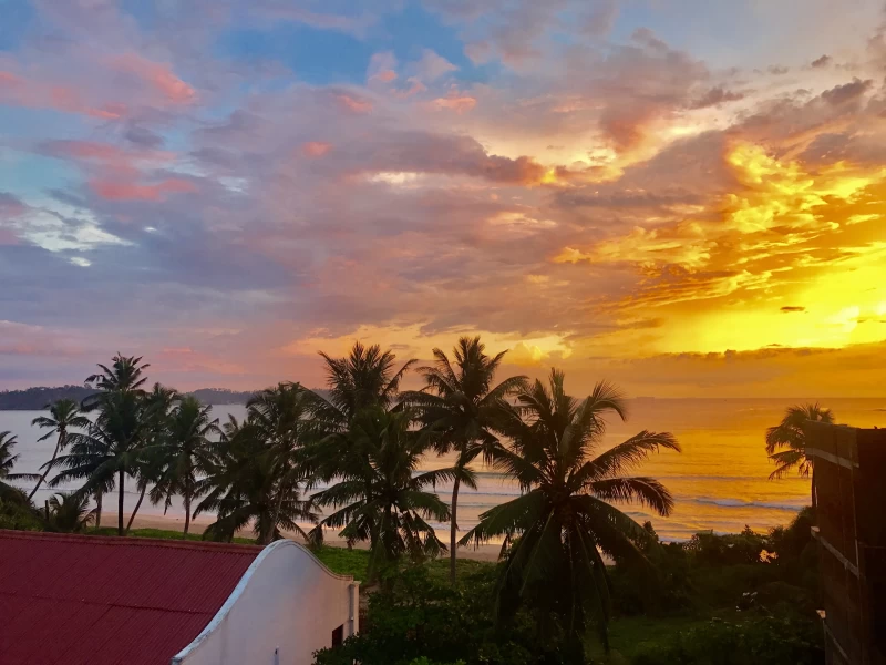 Sri Lanka Vibes: Balance zwischen Ozean und Yogamatte