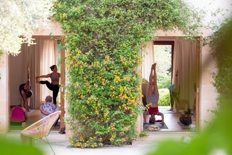 Intensives Mysore Retreat mit Kino MacGregor & Tim Feldmann