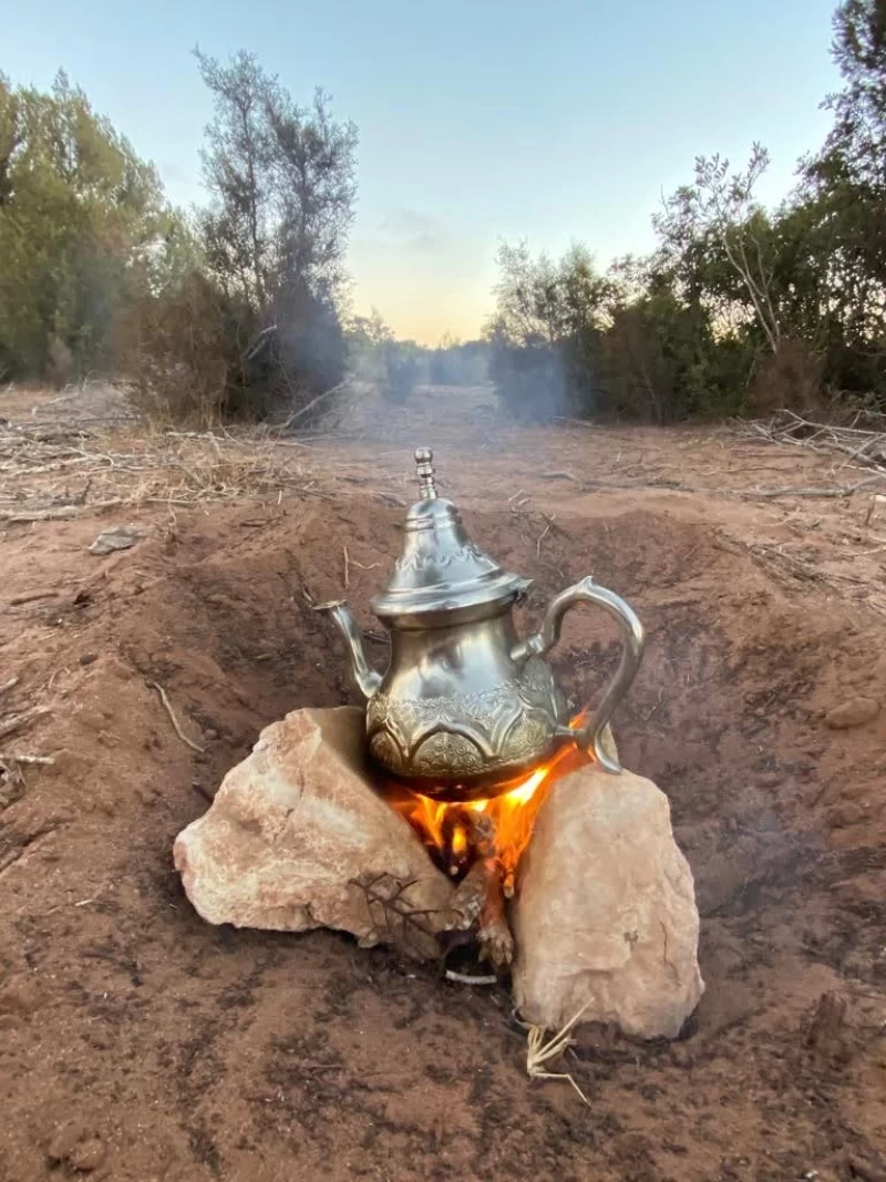 Surf- und Yogacamp in Essaouira: Eine Reise in die Seele Marokkos!