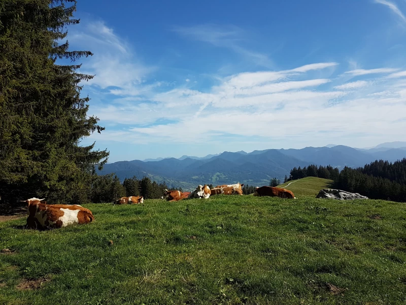 Yoga und Wandern im traumhaften Isarwinkel