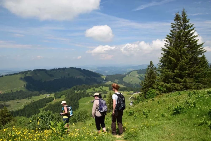 Mindful Mountain Moves - Meditation und Wandern im Kleinwalsertal