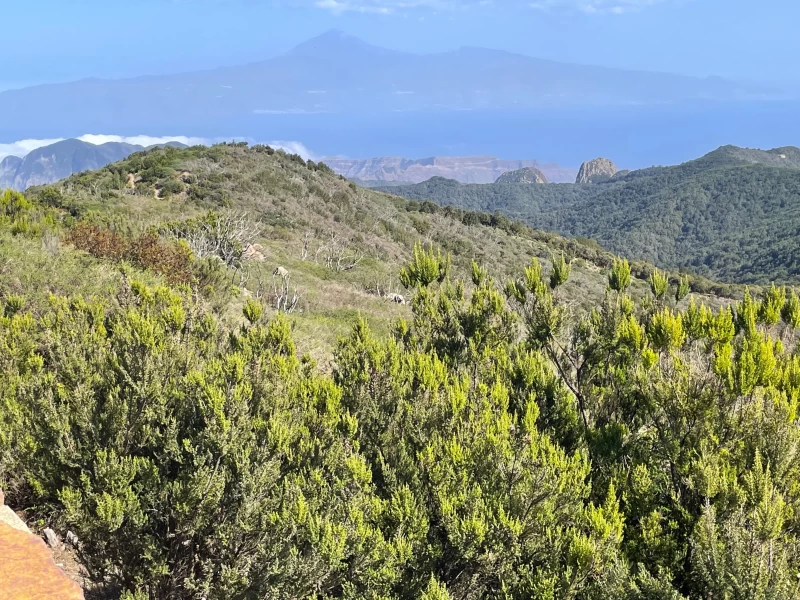 Auszeit auf La Gomera mit Yoga, Sonne, Strand und Wanderungen