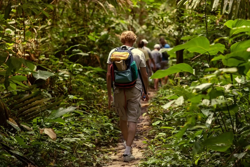 Siem Reap Abenteuer-Tour: Trekking und Camping im Kulen-Gebirge - 1/2