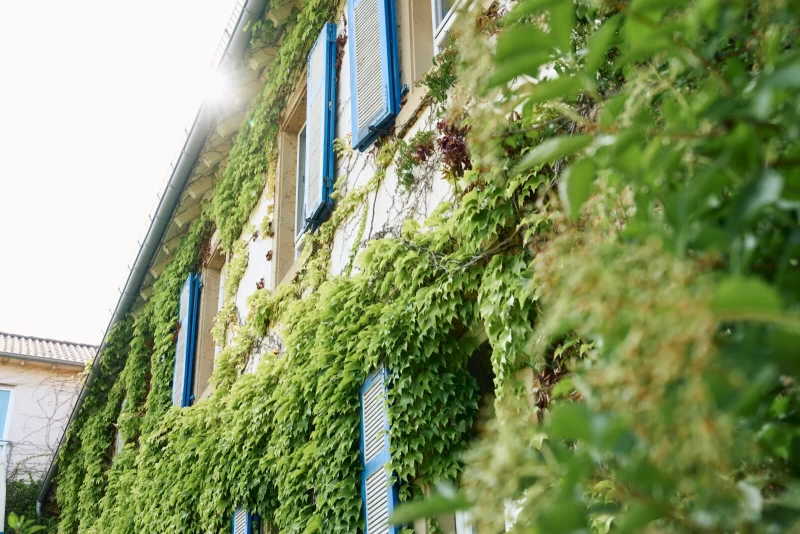 Yoga-Wochenende im Weinberghotel: Deine wohlverdiente Auszeit