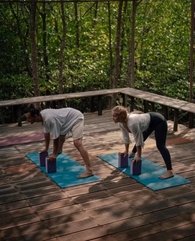 Insel-Detox auf Koh Chang: Saftfasten, Yoga & sanfter Neustart