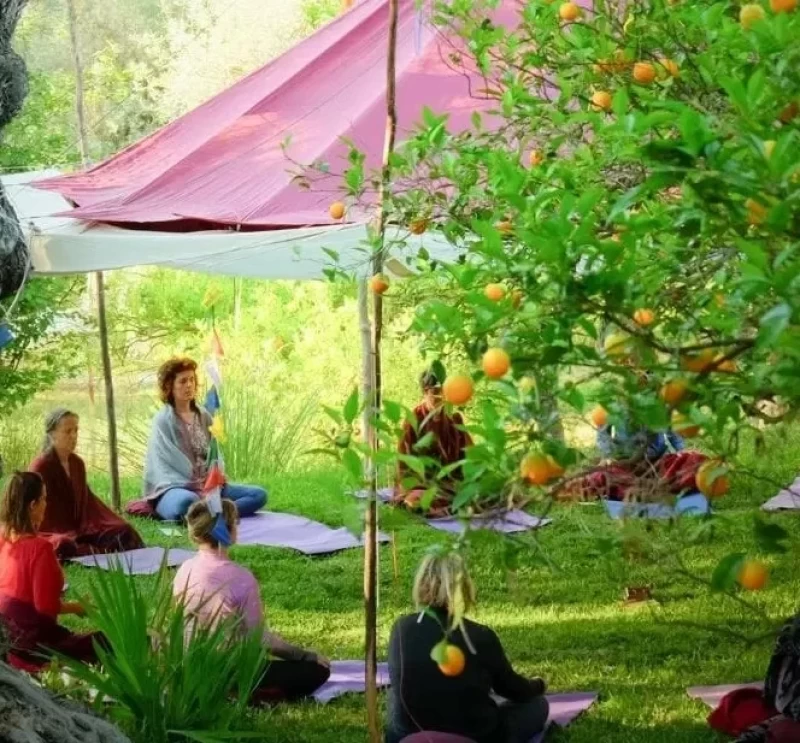 Yoga im Zeichen der Elemente: Vertiefende Praxis und Zertifikat