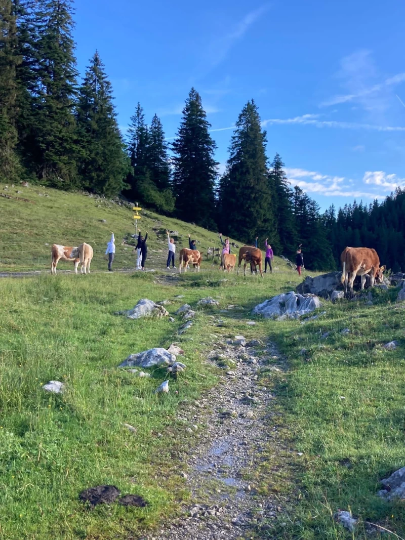 Yoga- und Wanderwochenende in den Bayerischen Alpen