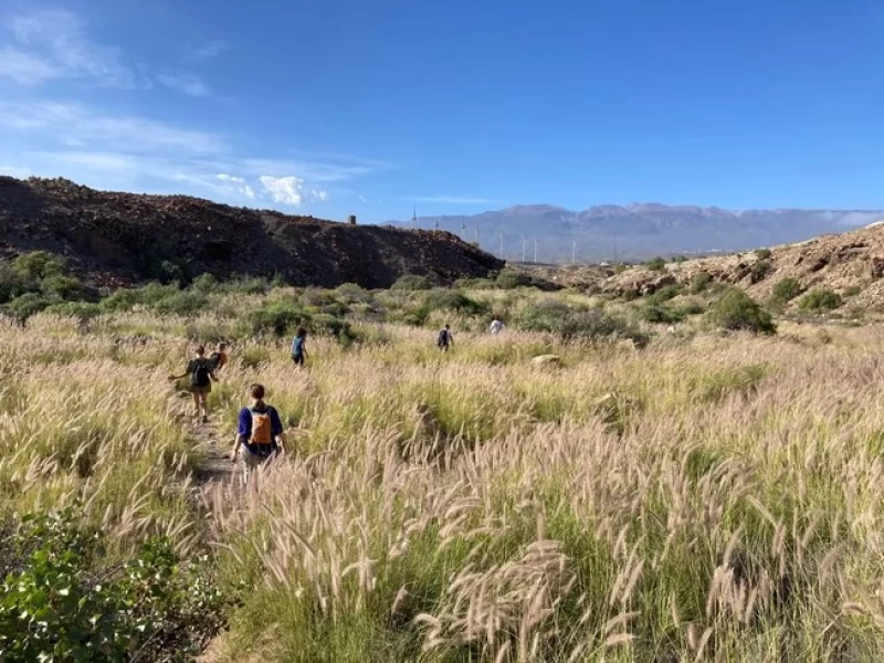 Soul Reset auf Teneriffa: Transformation mit Yoga und Psychologie